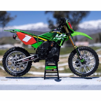 LOS06002 1/4 Promoto-MX Motorrad RTR Pro Circuit